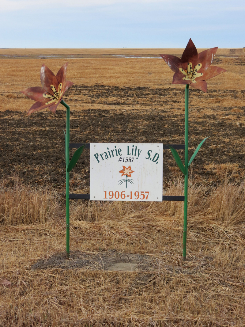 Prairie Lily School District 1557, 1906-1957, Township 15 range 22 west of the second meridian, near Pitman, Drinkwater and Rouleau Saskatchewan    - Saskatchewan Gen Web